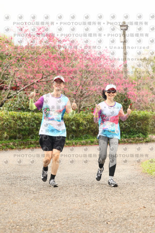 2026左岸竹東櫻花馬拉松Zhudong Sakura Marathon