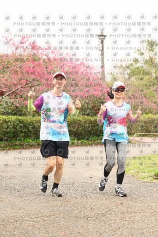 2026左岸竹東櫻花馬拉松Zhudong Sakura Marathon