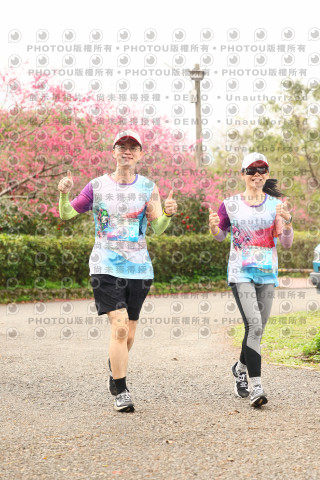 2026左岸竹東櫻花馬拉松Zhudong Sakura Marathon