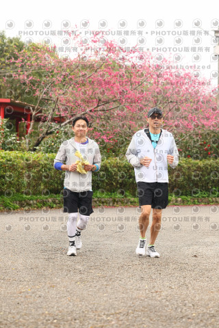 2026左岸竹東櫻花馬拉松Zhudong Sakura Marathon