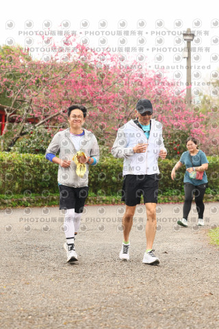 2026左岸竹東櫻花馬拉松Zhudong Sakura Marathon
