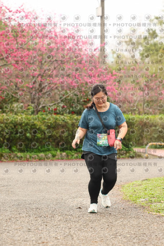 2026左岸竹東櫻花馬拉松Zhudong Sakura Marathon