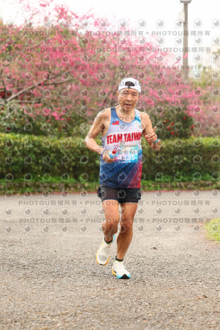 2026左岸竹東櫻花馬拉松Zhudong Sakura Marathon