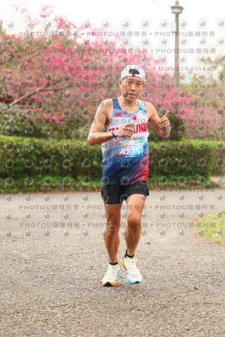 2026左岸竹東櫻花馬拉松Zhudong Sakura Marathon