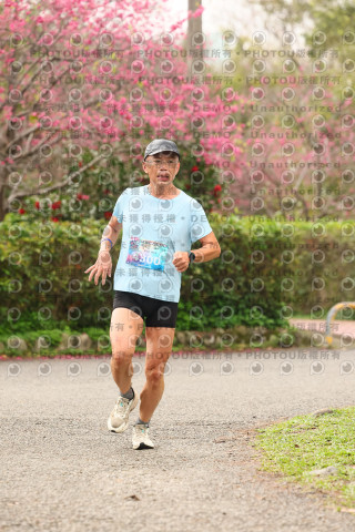 2026左岸竹東櫻花馬拉松Zhudong Sakura Marathon