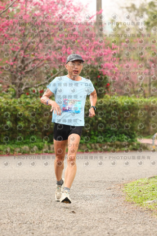 2026左岸竹東櫻花馬拉松Zhudong Sakura Marathon