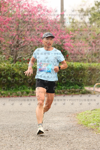 2026左岸竹東櫻花馬拉松Zhudong Sakura Marathon