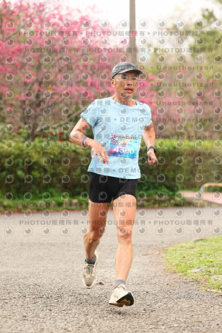 2026左岸竹東櫻花馬拉松Zhudong Sakura Marathon