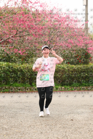 2026左岸竹東櫻花馬拉松Zhudong Sakura Marathon