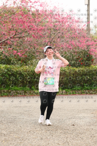 2026左岸竹東櫻花馬拉松Zhudong Sakura Marathon