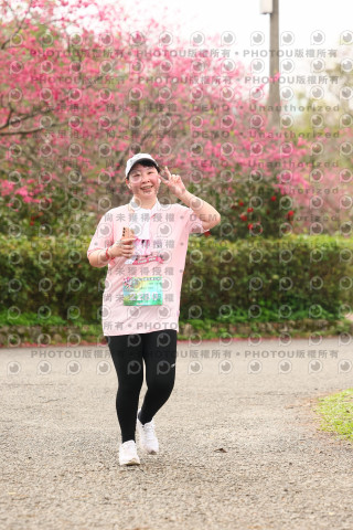 2026左岸竹東櫻花馬拉松Zhudong Sakura Marathon