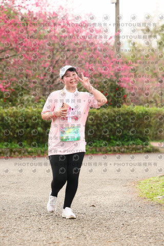 2026左岸竹東櫻花馬拉松Zhudong Sakura Marathon