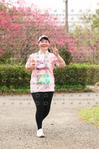 2026左岸竹東櫻花馬拉松Zhudong Sakura Marathon