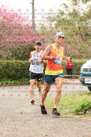 2026左岸竹東櫻花馬拉松Zhudong Sakura Marathon