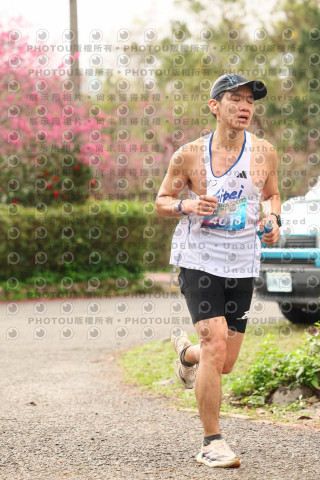 2026左岸竹東櫻花馬拉松Zhudong Sakura Marathon