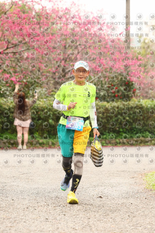 2026左岸竹東櫻花馬拉松Zhudong Sakura Marathon