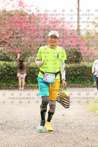 2026左岸竹東櫻花馬拉松Zhudong Sakura Marathon