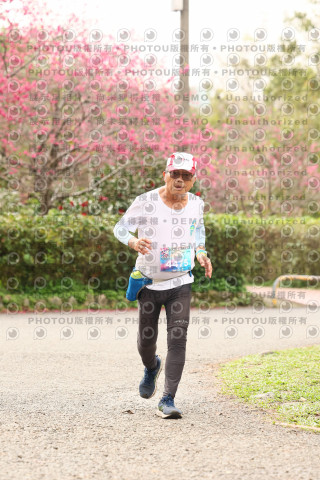 2026左岸竹東櫻花馬拉松Zhudong Sakura Marathon
