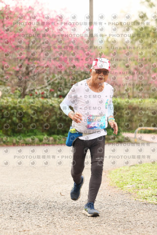 2026左岸竹東櫻花馬拉松Zhudong Sakura Marathon