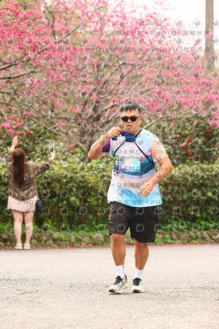 2026左岸竹東櫻花馬拉松Zhudong Sakura Marathon