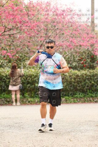 2026左岸竹東櫻花馬拉松Zhudong Sakura Marathon