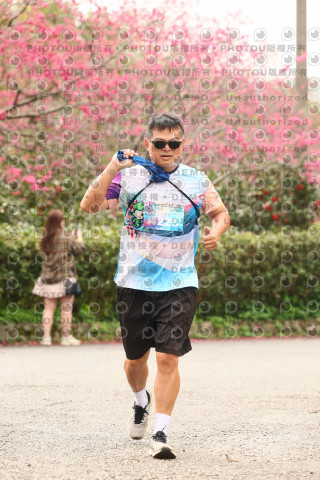 2026左岸竹東櫻花馬拉松Zhudong Sakura Marathon