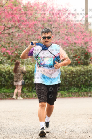2026左岸竹東櫻花馬拉松Zhudong Sakura Marathon