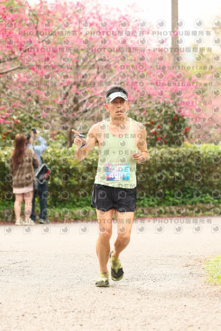 2026左岸竹東櫻花馬拉松Zhudong Sakura Marathon