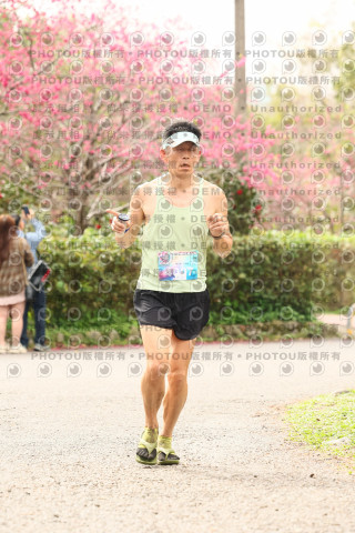 2026左岸竹東櫻花馬拉松Zhudong Sakura Marathon