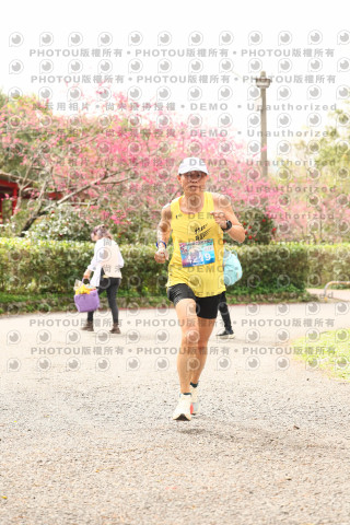 2026左岸竹東櫻花馬拉松Zhudong Sakura Marathon