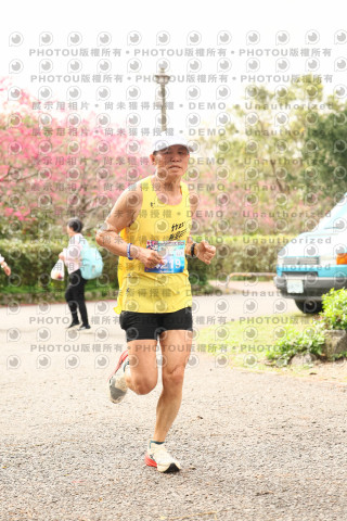 2026左岸竹東櫻花馬拉松Zhudong Sakura Marathon