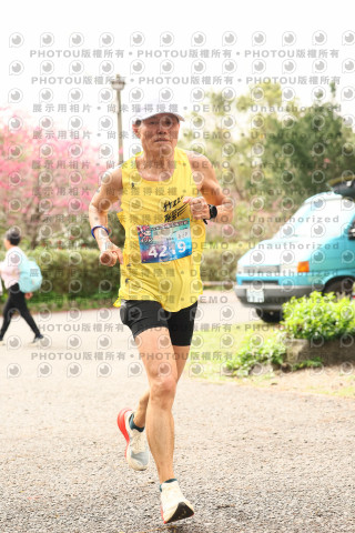 2026左岸竹東櫻花馬拉松Zhudong Sakura Marathon