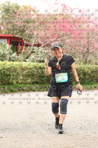 2026左岸竹東櫻花馬拉松Zhudong Sakura Marathon