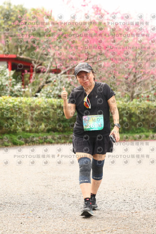 2026左岸竹東櫻花馬拉松Zhudong Sakura Marathon