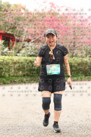 2026左岸竹東櫻花馬拉松Zhudong Sakura Marathon