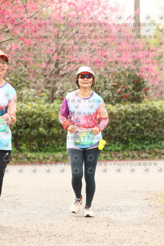 2026左岸竹東櫻花馬拉松Zhudong Sakura Marathon