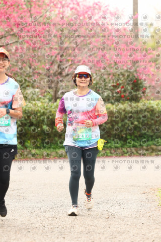 2026左岸竹東櫻花馬拉松Zhudong Sakura Marathon