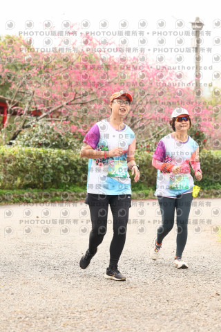 2026左岸竹東櫻花馬拉松Zhudong Sakura Marathon