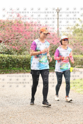 2026左岸竹東櫻花馬拉松Zhudong Sakura Marathon