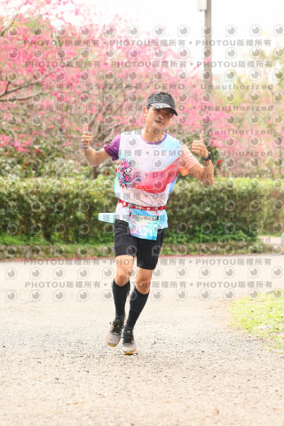 2026左岸竹東櫻花馬拉松Zhudong Sakura Marathon