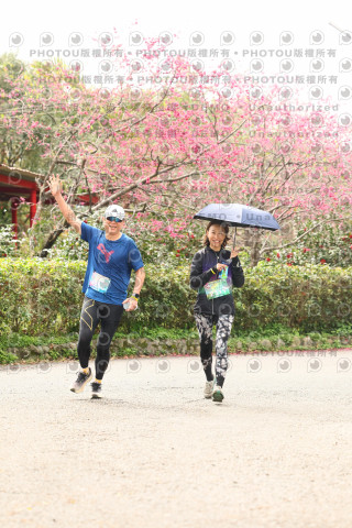 2026左岸竹東櫻花馬拉松Zhudong Sakura Marathon