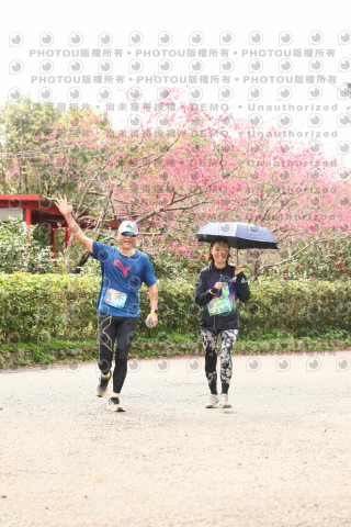 2026左岸竹東櫻花馬拉松Zhudong Sakura Marathon