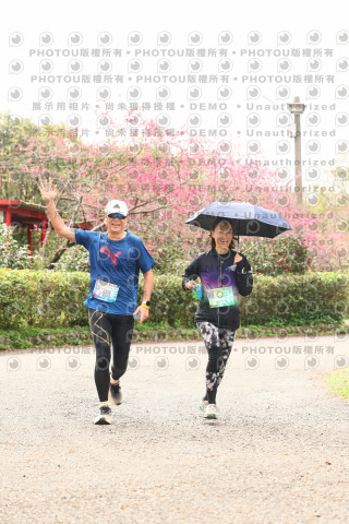 2026左岸竹東櫻花馬拉松Zhudong Sakura Marathon