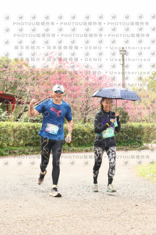2026左岸竹東櫻花馬拉松Zhudong Sakura Marathon