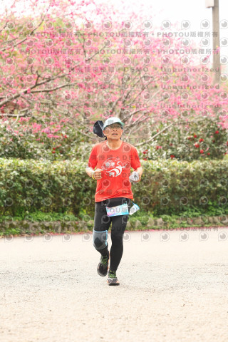 2026左岸竹東櫻花馬拉松Zhudong Sakura Marathon