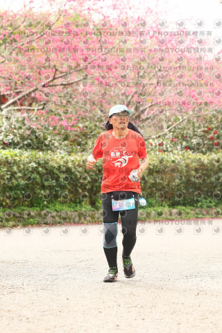 2026左岸竹東櫻花馬拉松Zhudong Sakura Marathon