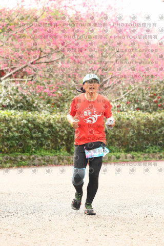 2026左岸竹東櫻花馬拉松Zhudong Sakura Marathon