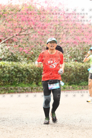 2026左岸竹東櫻花馬拉松Zhudong Sakura Marathon