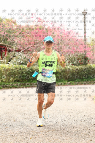 2026左岸竹東櫻花馬拉松Zhudong Sakura Marathon