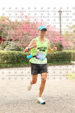2026左岸竹東櫻花馬拉松Zhudong Sakura Marathon